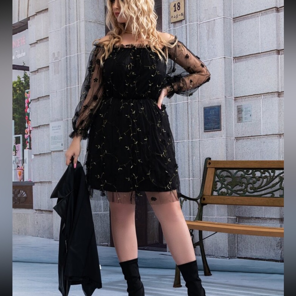 SHEIN Black Sheer Long-Sleeve Floral Embroidered Mini Dress